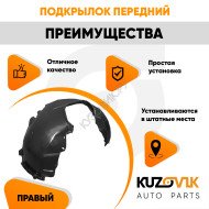 Подкрылок передний правый Ford Focus 2 (2005-2011), C-Max (2003-2010) KUZOVIK
